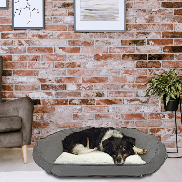 Leather Sofa Pet Friendly Wayfair