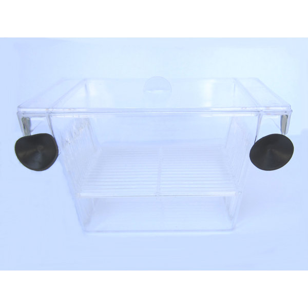 Brand New Fish Hatchery by YML