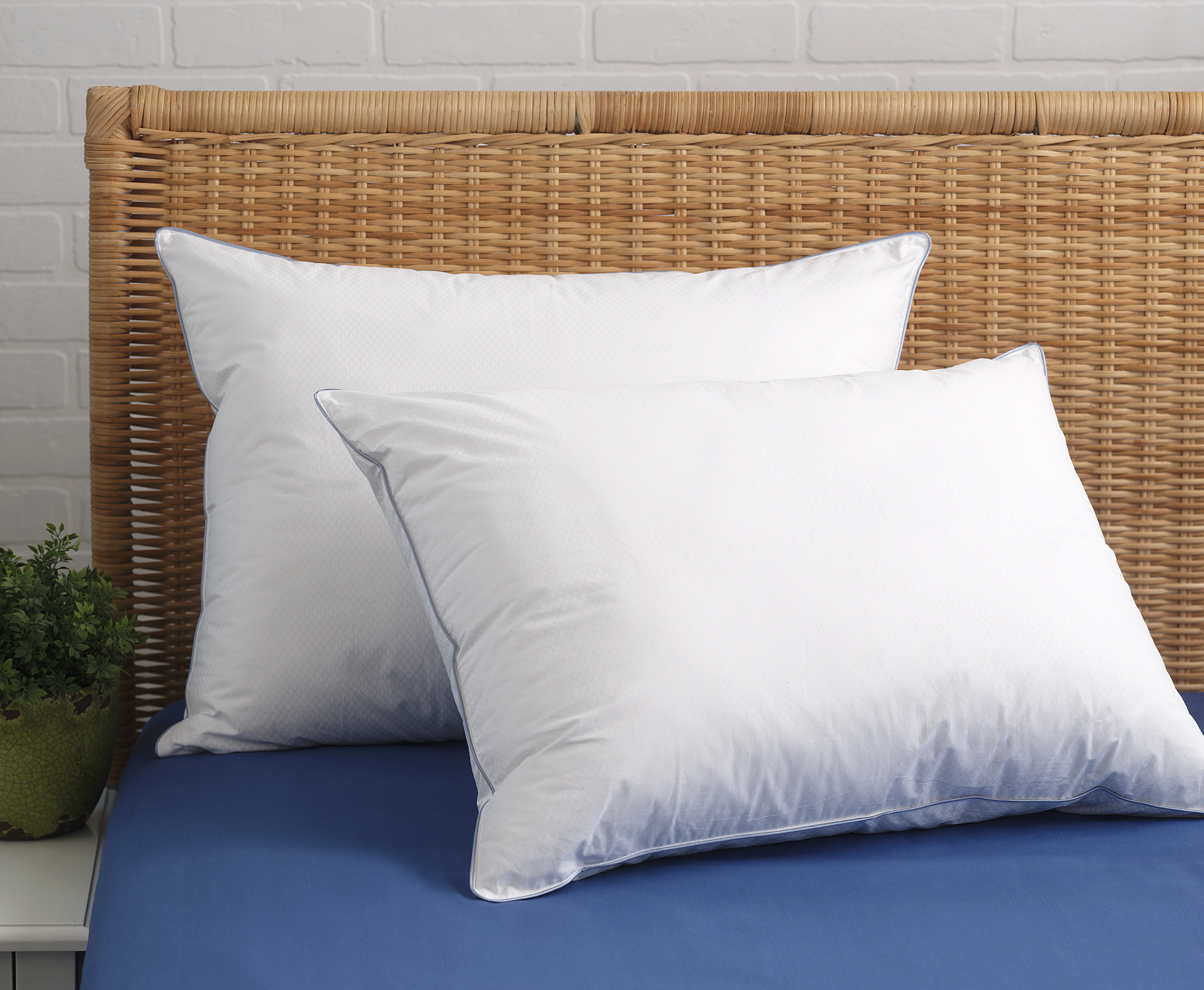 Alwyn Home Cool Rest Plush Down Alternative Cooling Bed Pillow