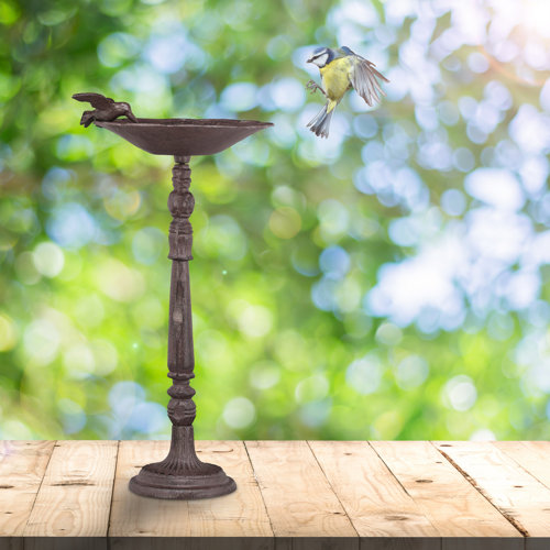 Whiddon Bird Bath Sol 72 Outdoor