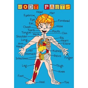 Body Parts Area Rug