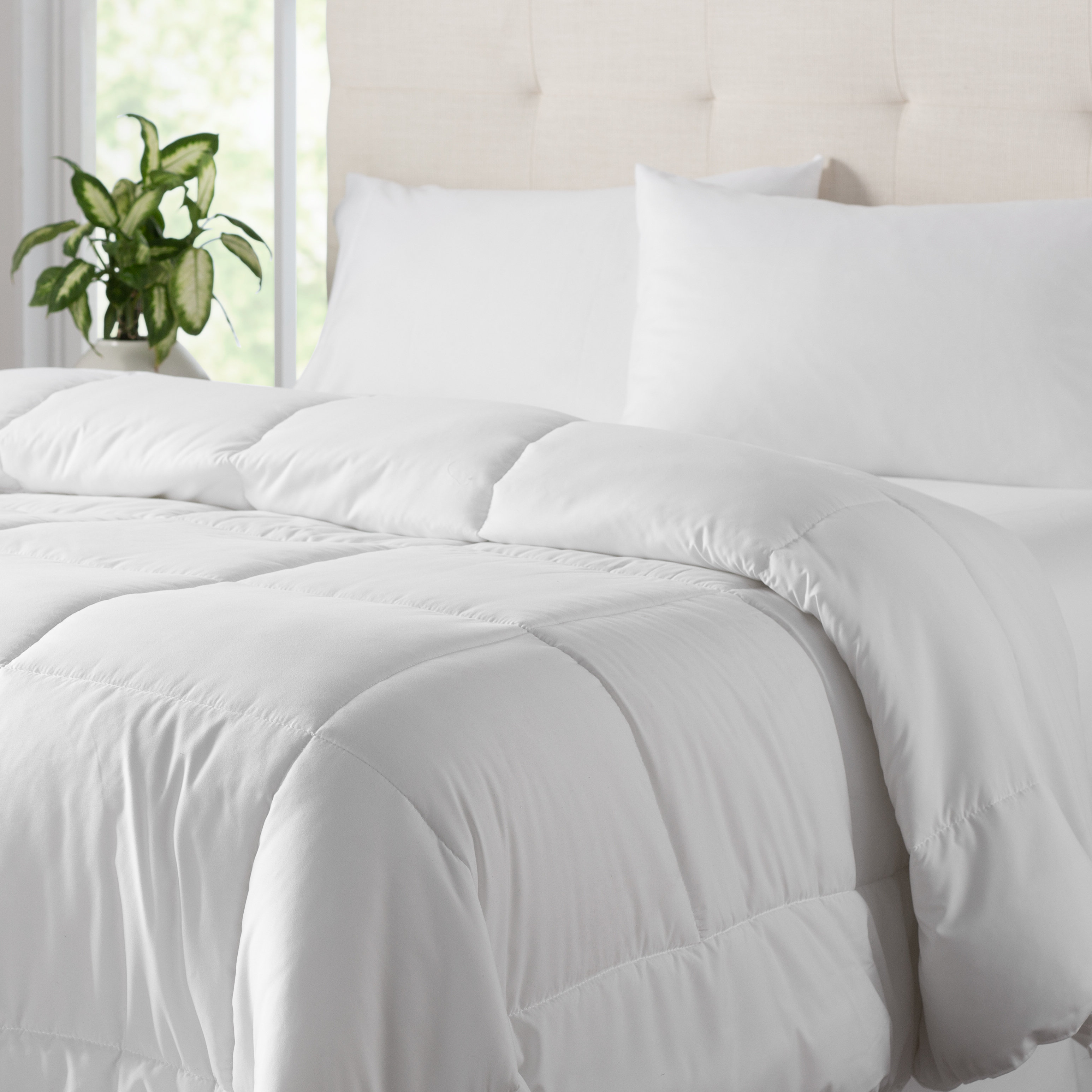 Wayfair Basics All Season Down Alternative Comforter Reviews