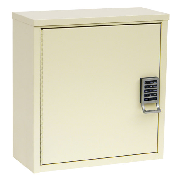 16 W x 16.75 H Wall Mounted Cabinet by Omnimed