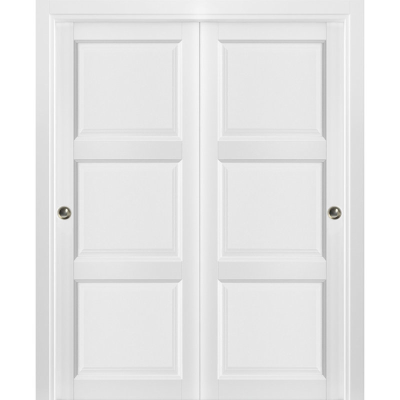 SARTODOORS Sliding Closet Bypass Doors 60 X 80 Inches ...