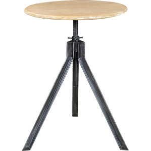 Byrd End Table by Brayden Studio