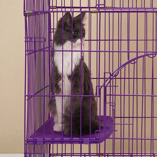 ProSelect Foldable Cat Crate & Reviews Wayfair