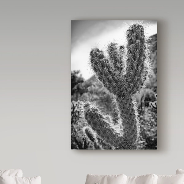 Cactus Close Up Photographic Print On Wrapped Canvas Joss Main
