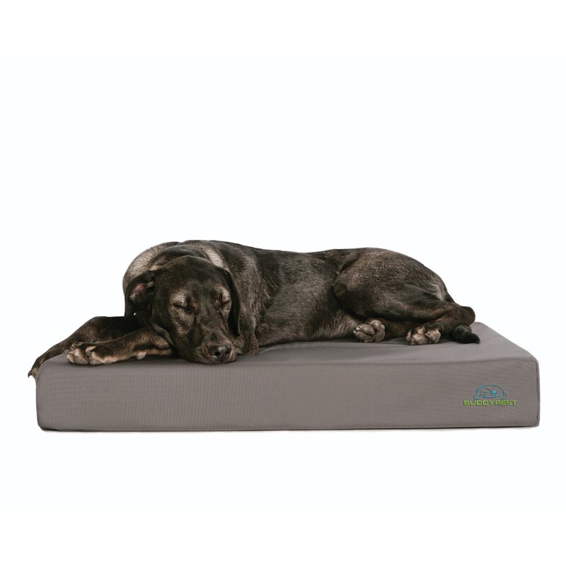 tough dog beds