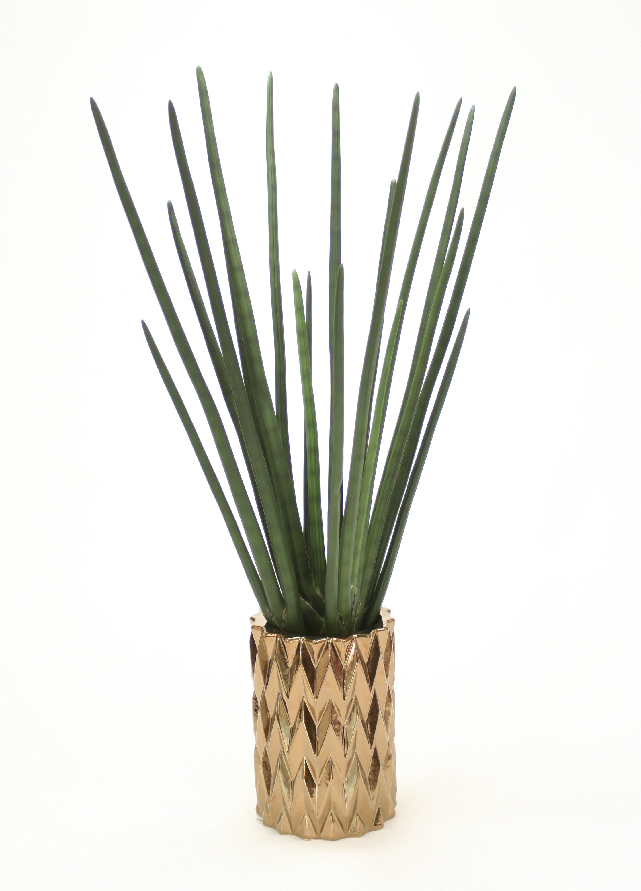 Distinctive Designs Sanseveria Floor Plant In Decorative Vase