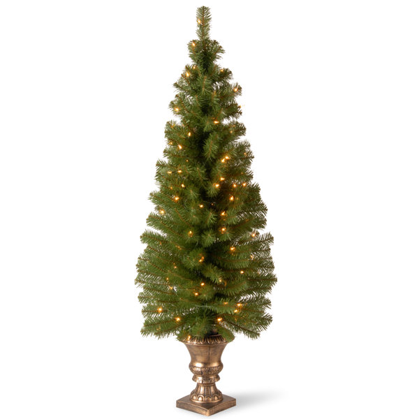 Outdoor Prelit Urn Fillers Wayfair