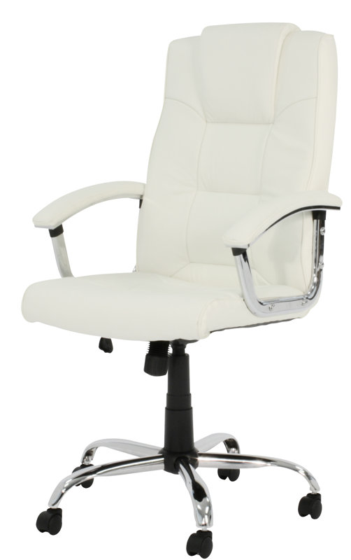 Home Etc HighBack Executive Chair with Lumbar Support & Reviews