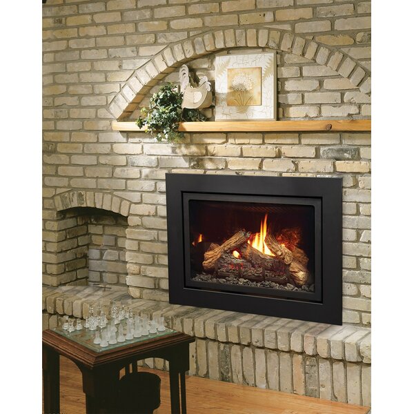 Review Direct Vent Natural Gas/Propane Fireplace Insert