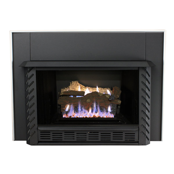 Vent Free Natural Gas/Propane Fireplace Insert By Ashley Hearth
