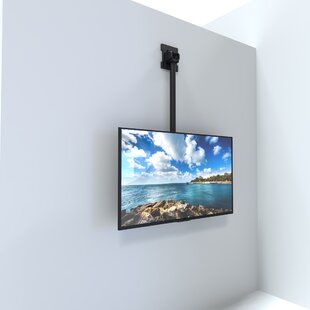 Tv Ceiling Mount Wayfair