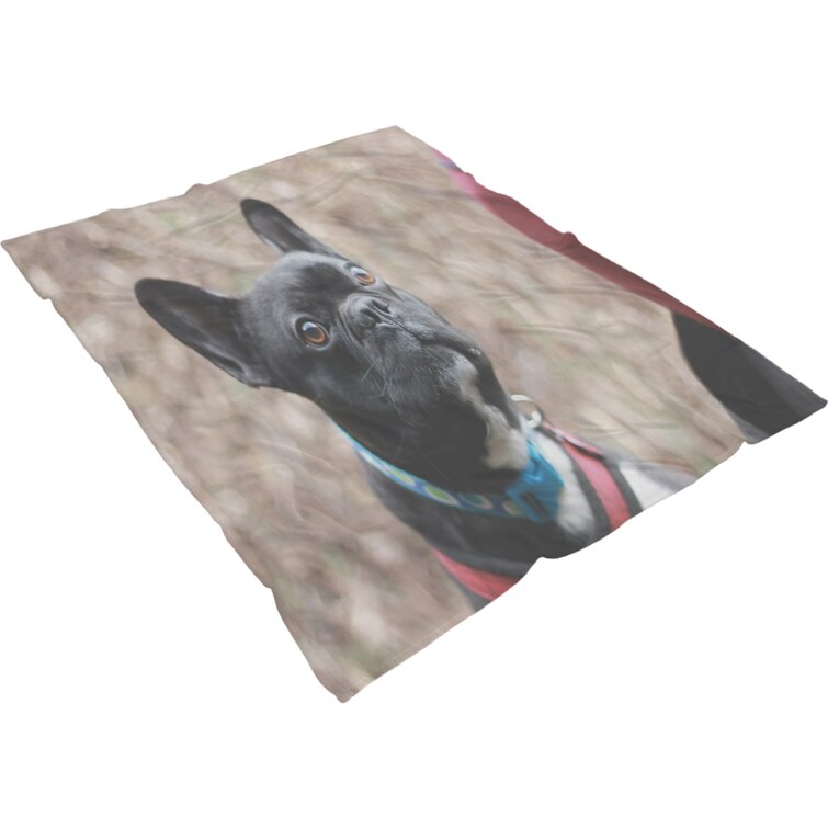 Plush Throw Blanket Meaningful Gifts for Family Sherpa French Bulldog Blanket Fleece Minky Blanket 