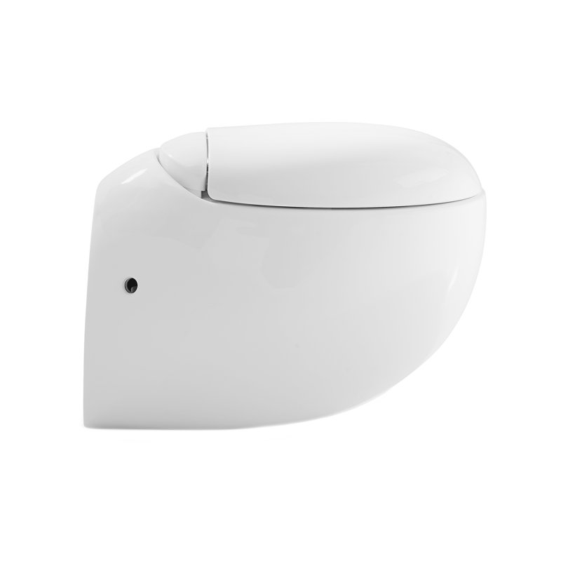 Swiss Madison Plaisir Dual Flush Elongated Wall Hung Toilets Seat