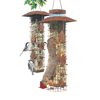 Whitehall Products Dogwood Tube Bird Feeder Reviews Wayfair Ca