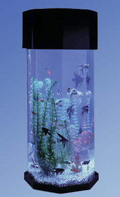 Alan 10 Gallon Scape Octagon Alanrium Kit by Tucker Murphy Pet
