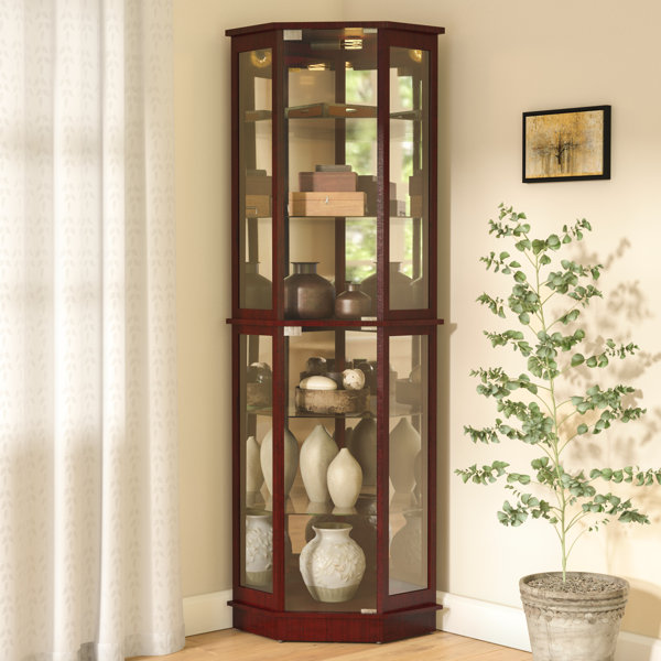 Biali Lighted Corner Curio Cabinet By Andover Mills Amazing