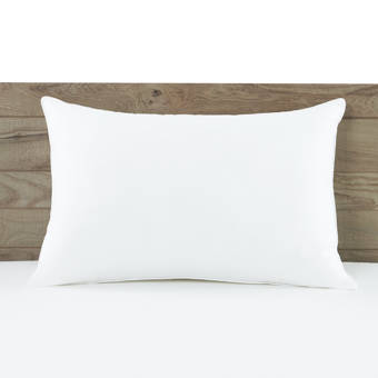 Lauren Ralph Lauren Arctic Down And Feathers Pillow Reviews