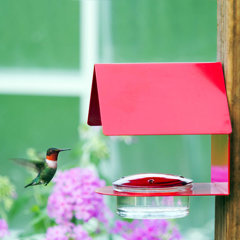 Modern Hummingbird Feeder Wayfair