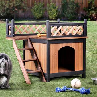 whimsical dog house
