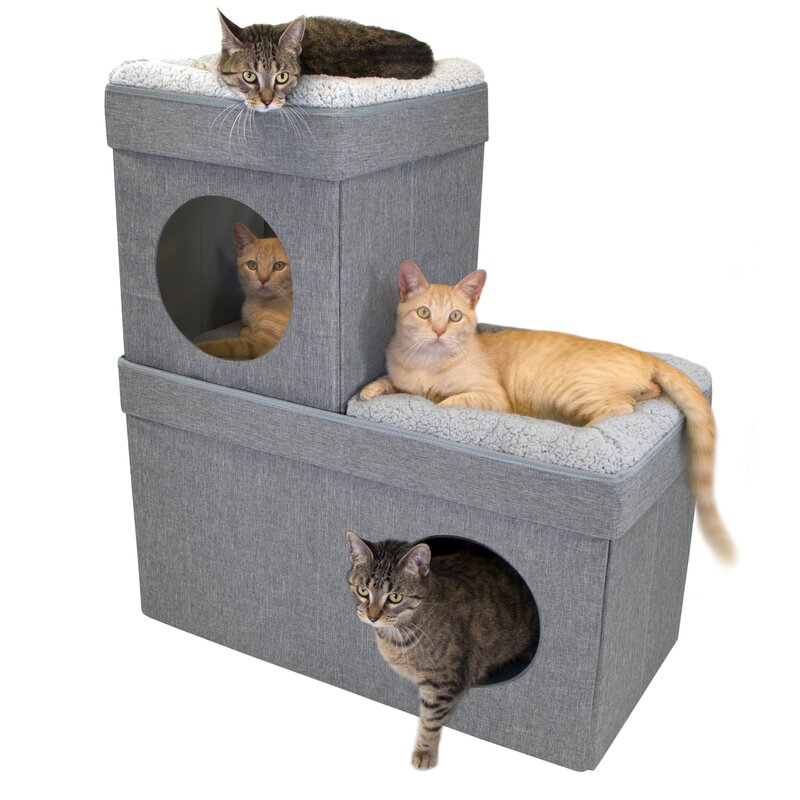 Choosing The Perfect Cat Beds For Large Cats