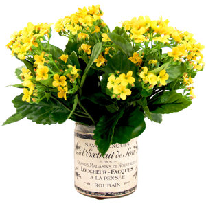 Faux Kalanchoe Arrangement