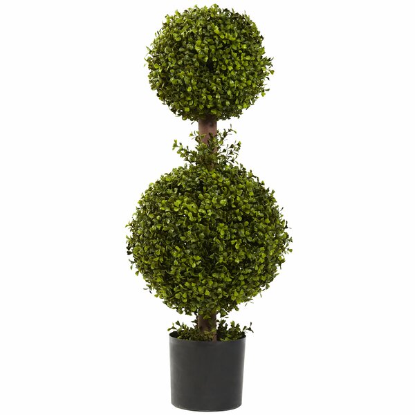 Double Boxwood Topiary in Planter by Darby Home Co