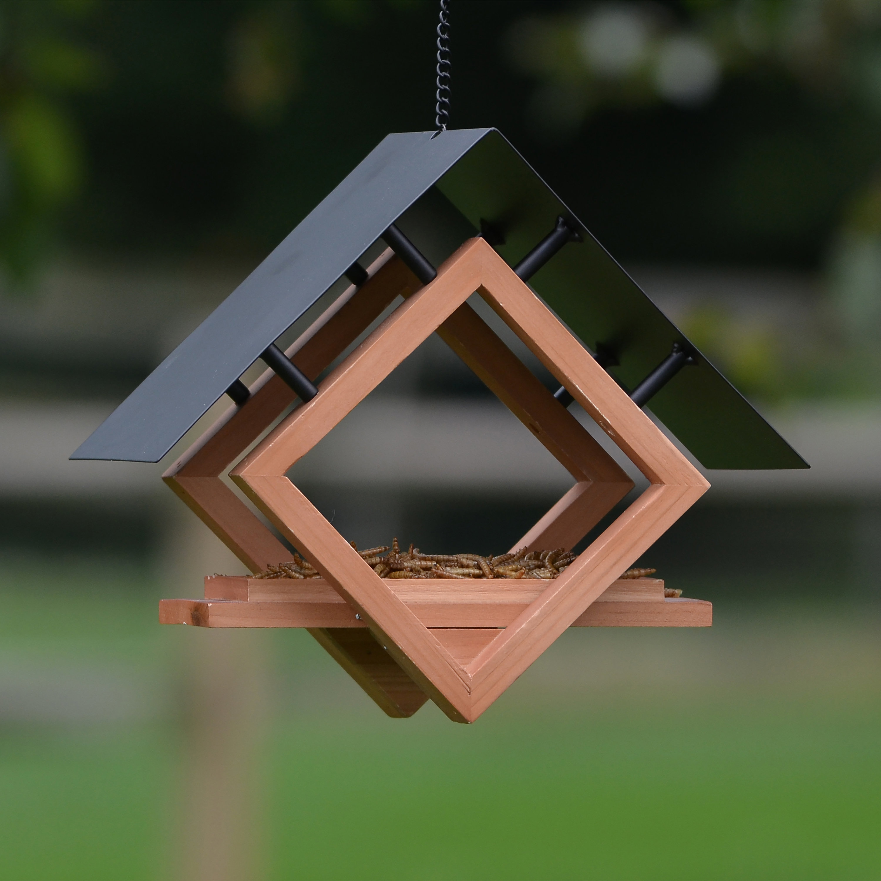 Perky Pet The Architect Tray Bird Feeder Wayfair