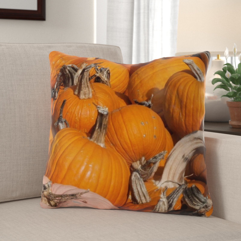 The Holiday Aisle Warmley Pumpkin Indoor Outdoor Throw Pillow Wayfair