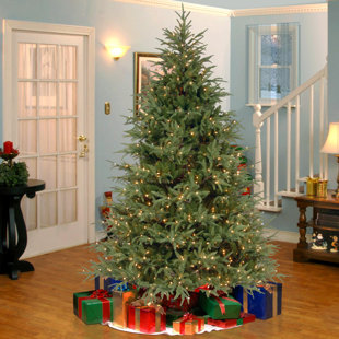 Christmas Trees Birch Lane Fraser 7 5 Green Artificial Christmas Tree With 1000 Led Multi Lights And Stand
