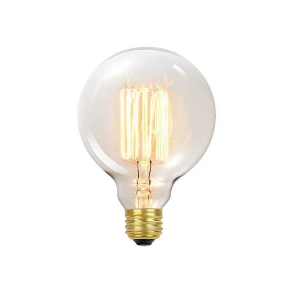 60 Watt E26 Dimmable Incandescen Edison Light Bulb by Globe Electric Company