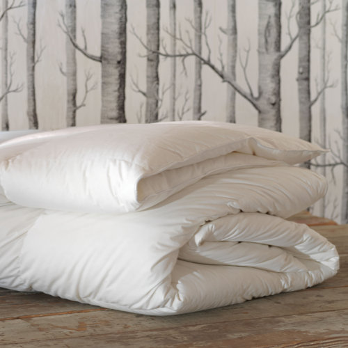 Eastern Accents Loure Summer Down Alternative Comforter Reviews