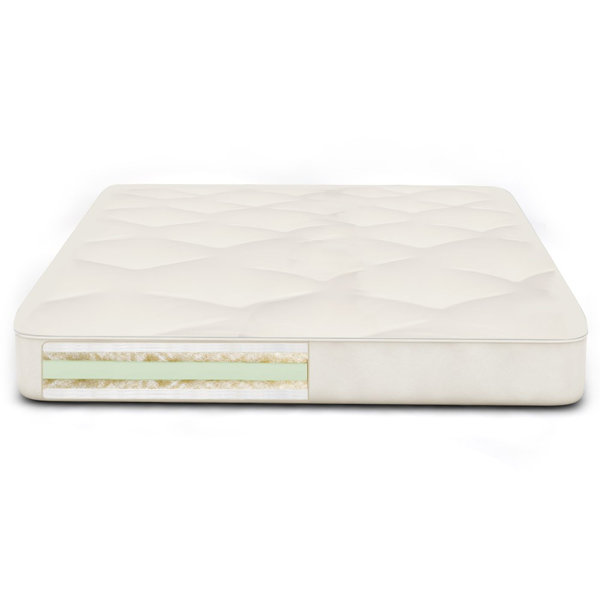 Back Care Plus 9 Soy Foam Futon Mattress by The Futon Shop