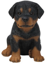 Hi Line Gift Ltd Sitting Rottweiler Puppy Statue Reviews Wayfair