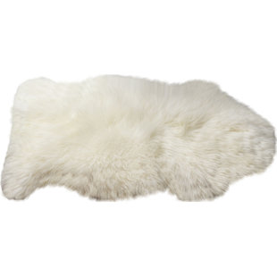 Hypoallergenic Rugs Wayfair Handmade Ivory Area Rug