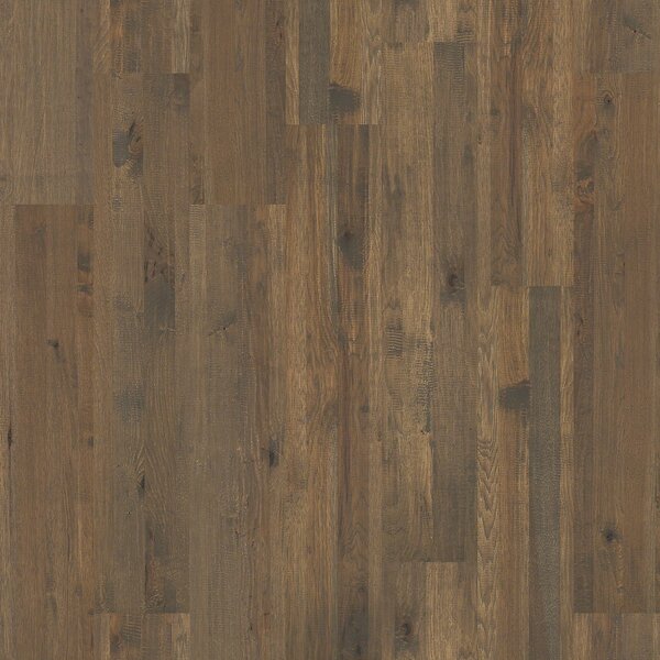 Ridge 8 Solid Hickory Hardwood Flooring in Early by Shaw Floors