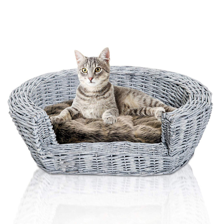 cat cushion bed