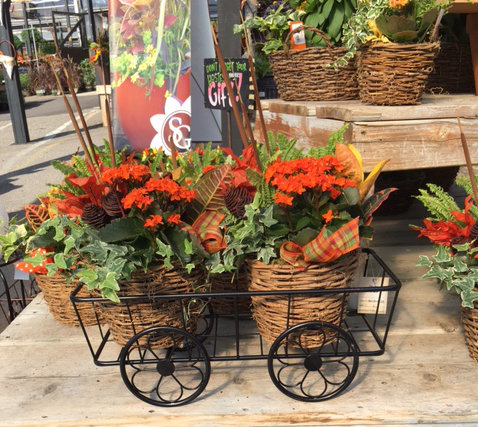 Wagon Plant Stand by Artscapes| @ $29.99