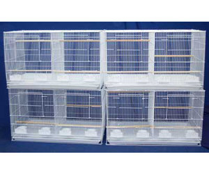 Lot of Four Medium Bird Cage with Divider