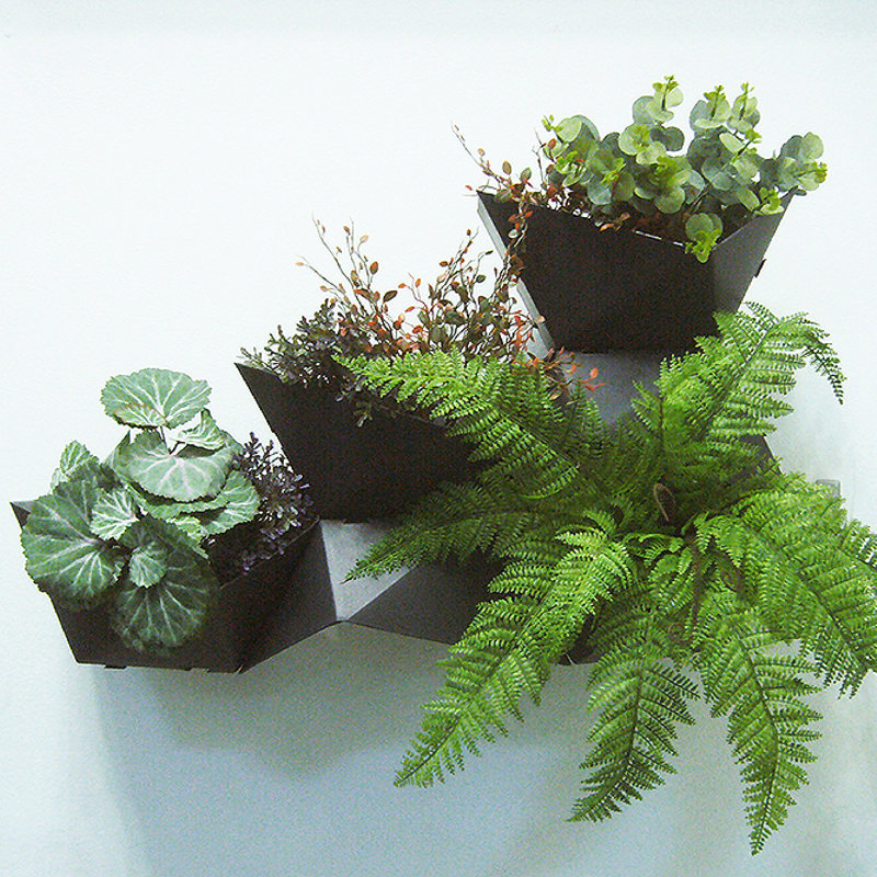 ModularLiving VPlant Plastic Wall Planter & Reviews Wayfair