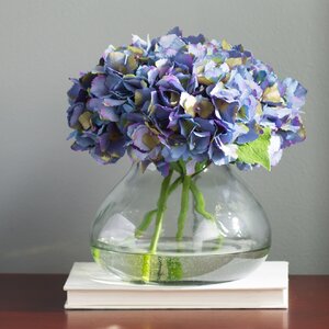 Blooming Hydrangea in Vase