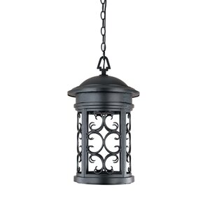 Cole 1-Light Outdoor Hanging Lantern