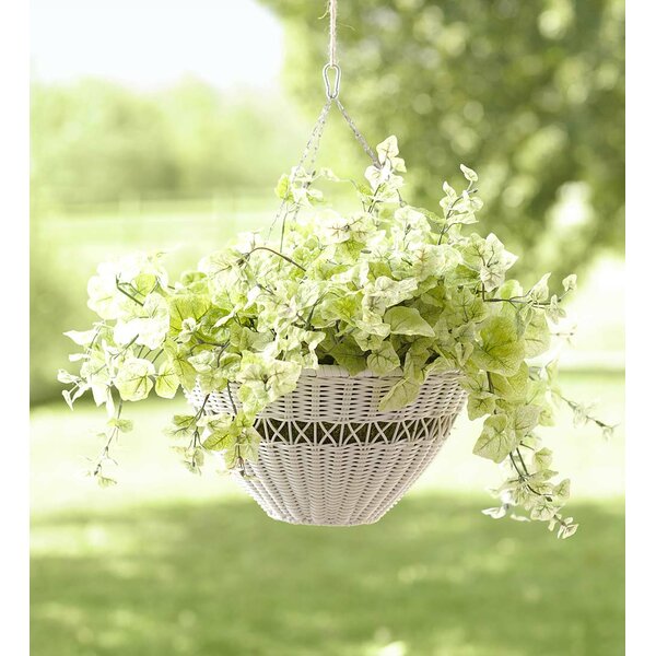 Resin Hanging Planter by Plow & Hearth