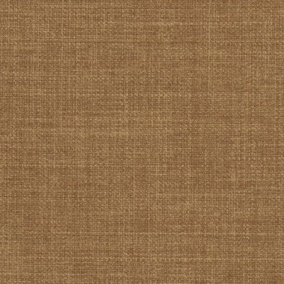 LINOSOMUSHROOM ClarkeClarke LLC Color Turmeric