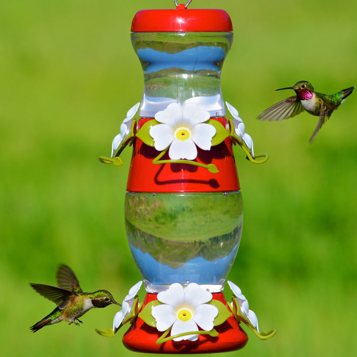 Perky Pet Double Deck Plastic Hummingbird Feeder Reviews