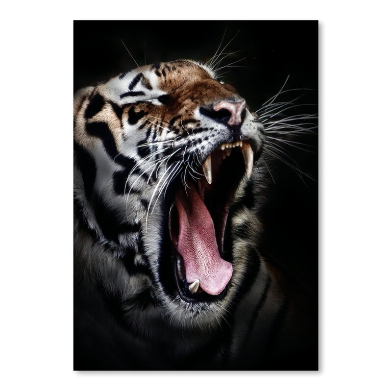 East Urban Home 'Dangerous Tiger Wildcat' Photographic Print | Wayfair