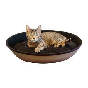 Cat Mod Sleeper