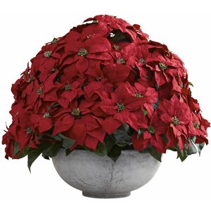 Giant Poinsettia Arrangement with Planter